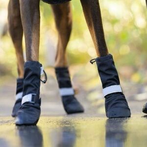 Canada Pooch Soft Shield Boot Black
